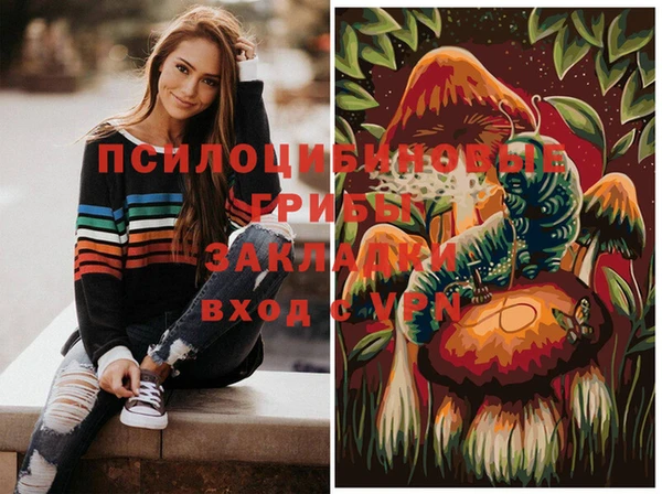бутират Каменногорск