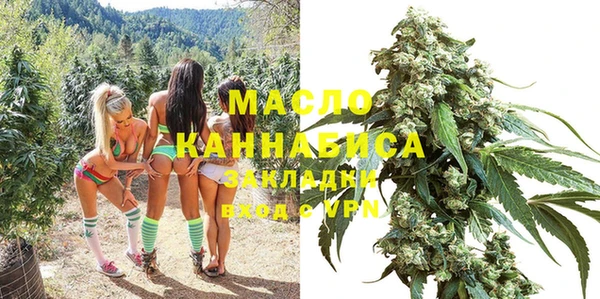 крисы Няндома