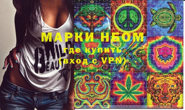 крисы Няндома