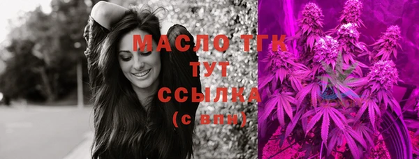 крисы Няндома